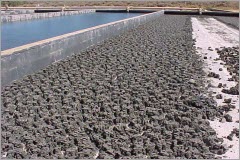 Sân phơi bùn (Công trình Xử lý nước thải)