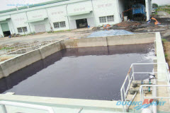 Bể khứ trùng nước thải nhà máy chế biến thực phẩm tươi, đông lạnh
