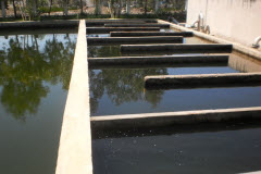 Bể khứ trùng nước thải nhà máy sản xuất thuốc bảo vệ thực vật, thuốc thú y