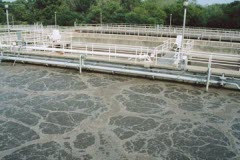 Bể vi sinh nước thải nhà máy thức ăn chăn nuôi